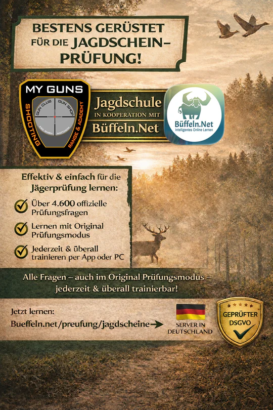 Büffeln.Net Lernplattform